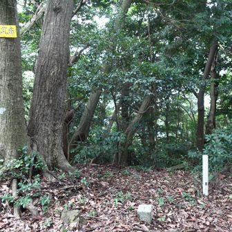 ■一の瀬
等級 :　四等三角点
緯度 :　33.831295
経度 :　130.580745278
標高 :　317.27m
COD :　TR45030549601
場所 :　福岡県宗像市
訪問 :　2026年9月12日