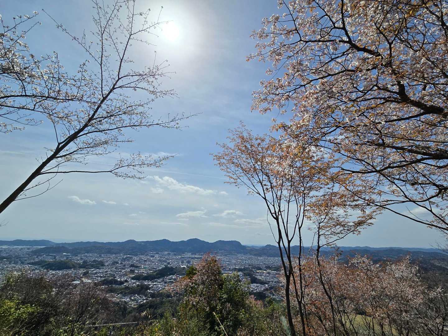 遠くに美しい南嶺