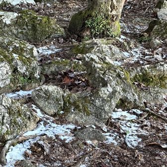 昨日の雪❄️
手が冷たい、痛い😓
