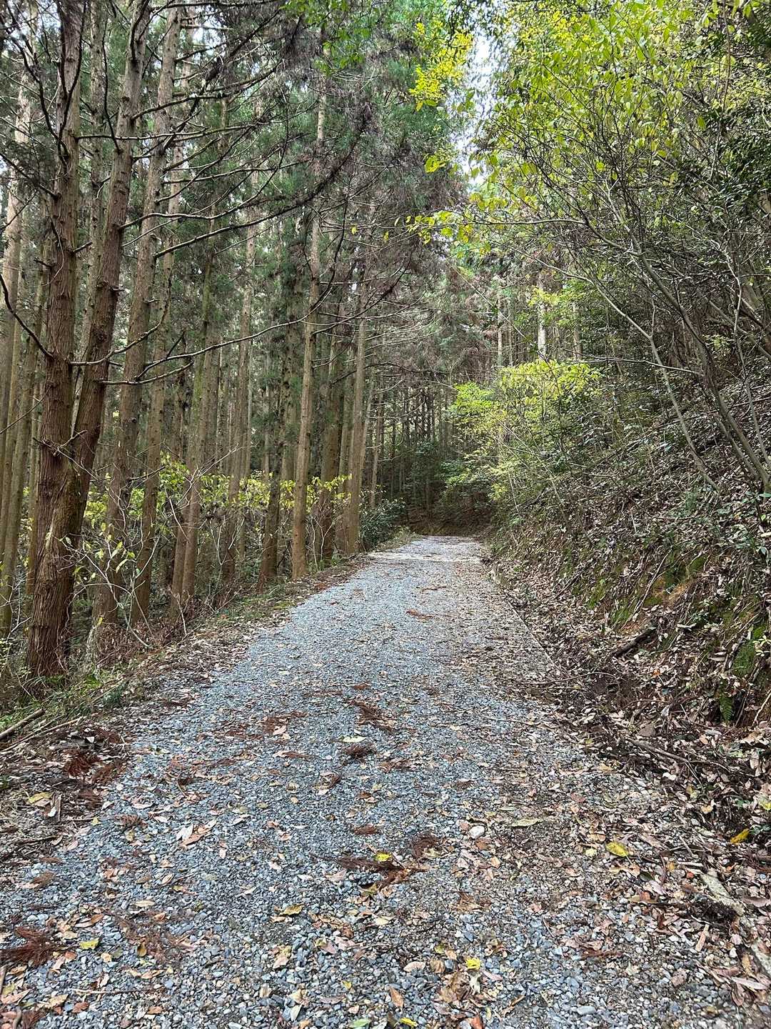 広くて歩きやすいです♪