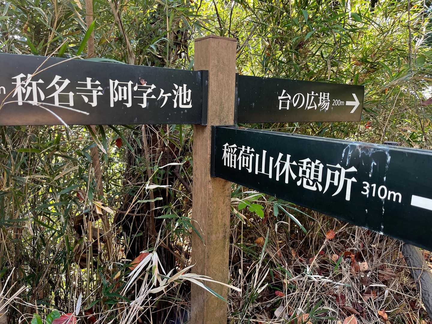 仁王門-称名寺-称名寺市民の森入口-金沢山 往復コースの写真