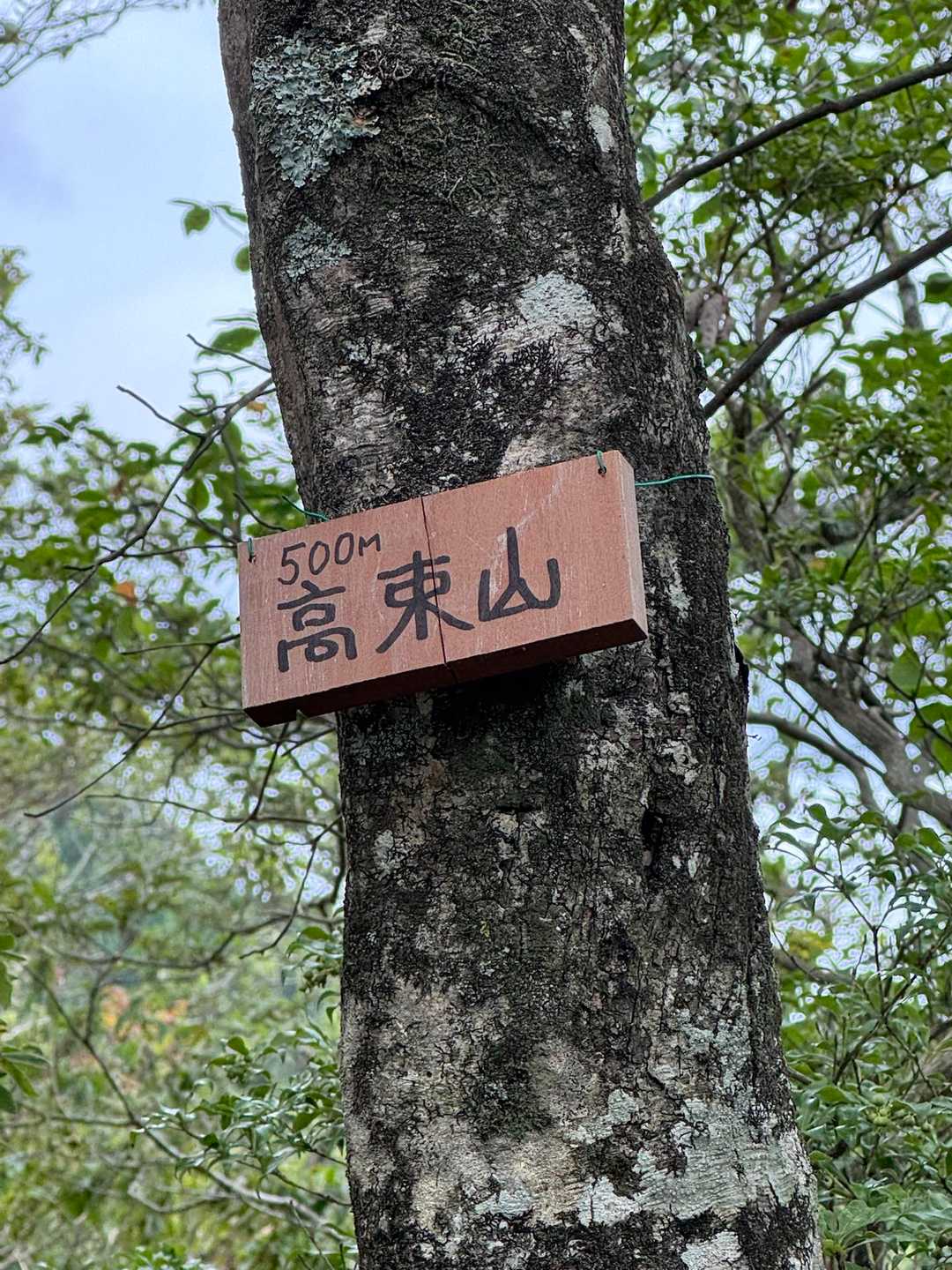 山頂