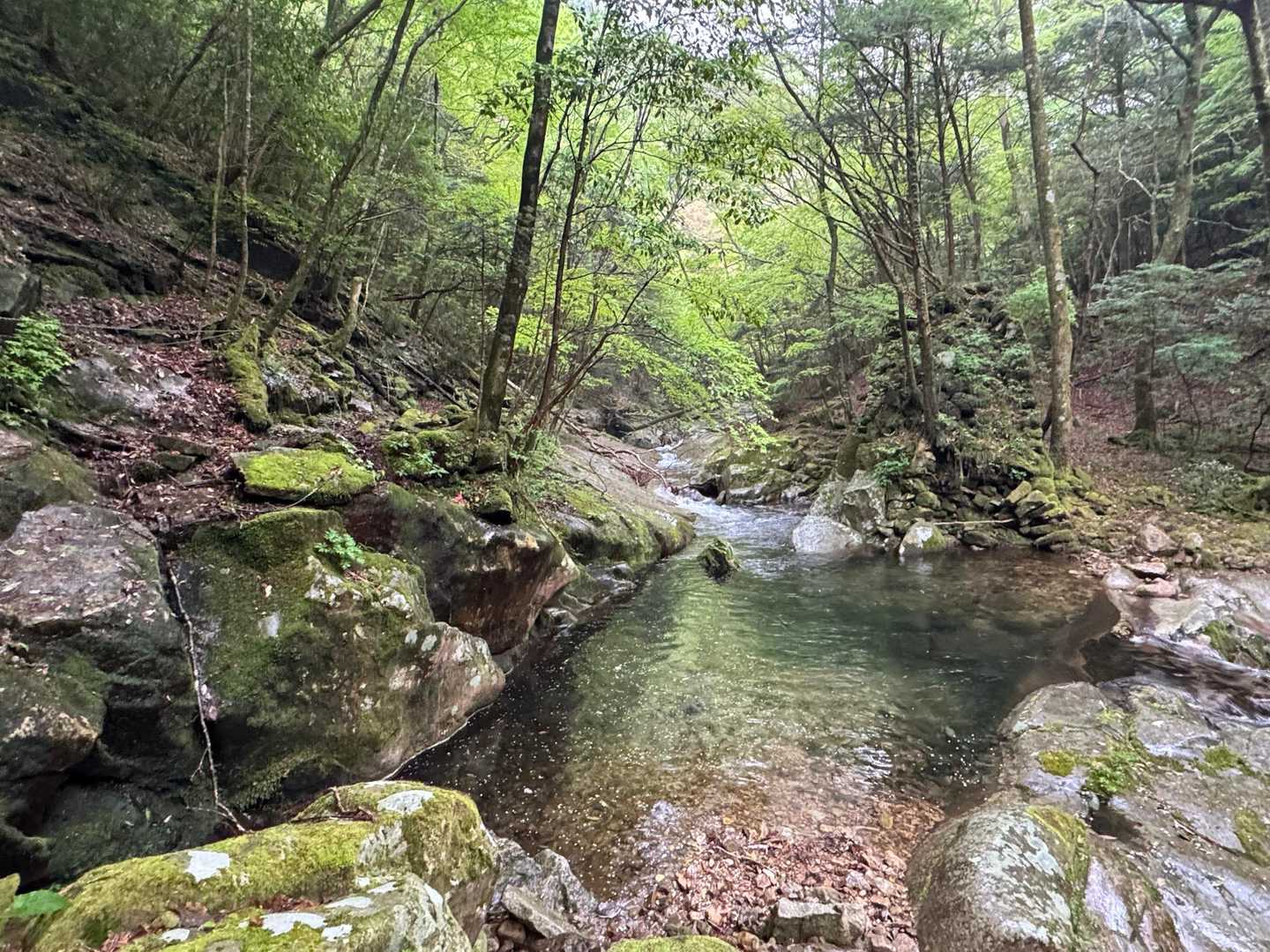 素晴らしい😍