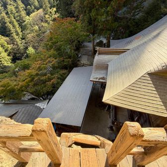 ハシゴがツルツルで下りるときけっこう怖かった🪜