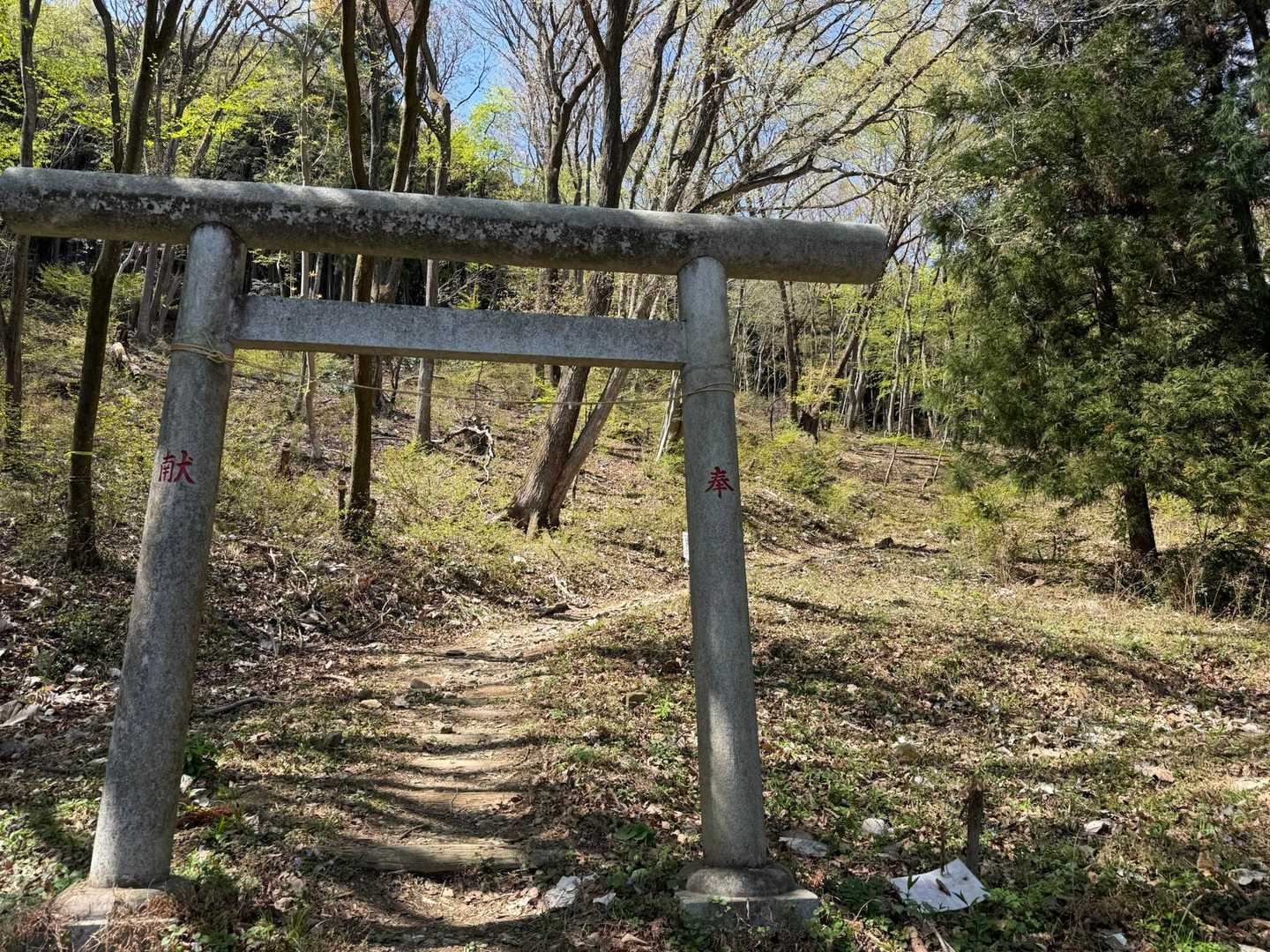 登山口
鳥居⛩️をくぐり、スタートです♪