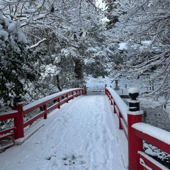 去年より雪多め。前日降雪のおかげかな。