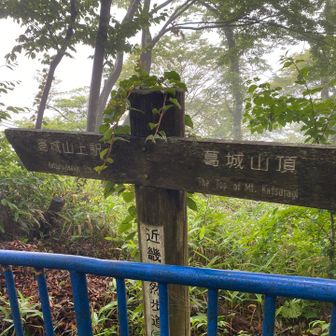 戻りますか