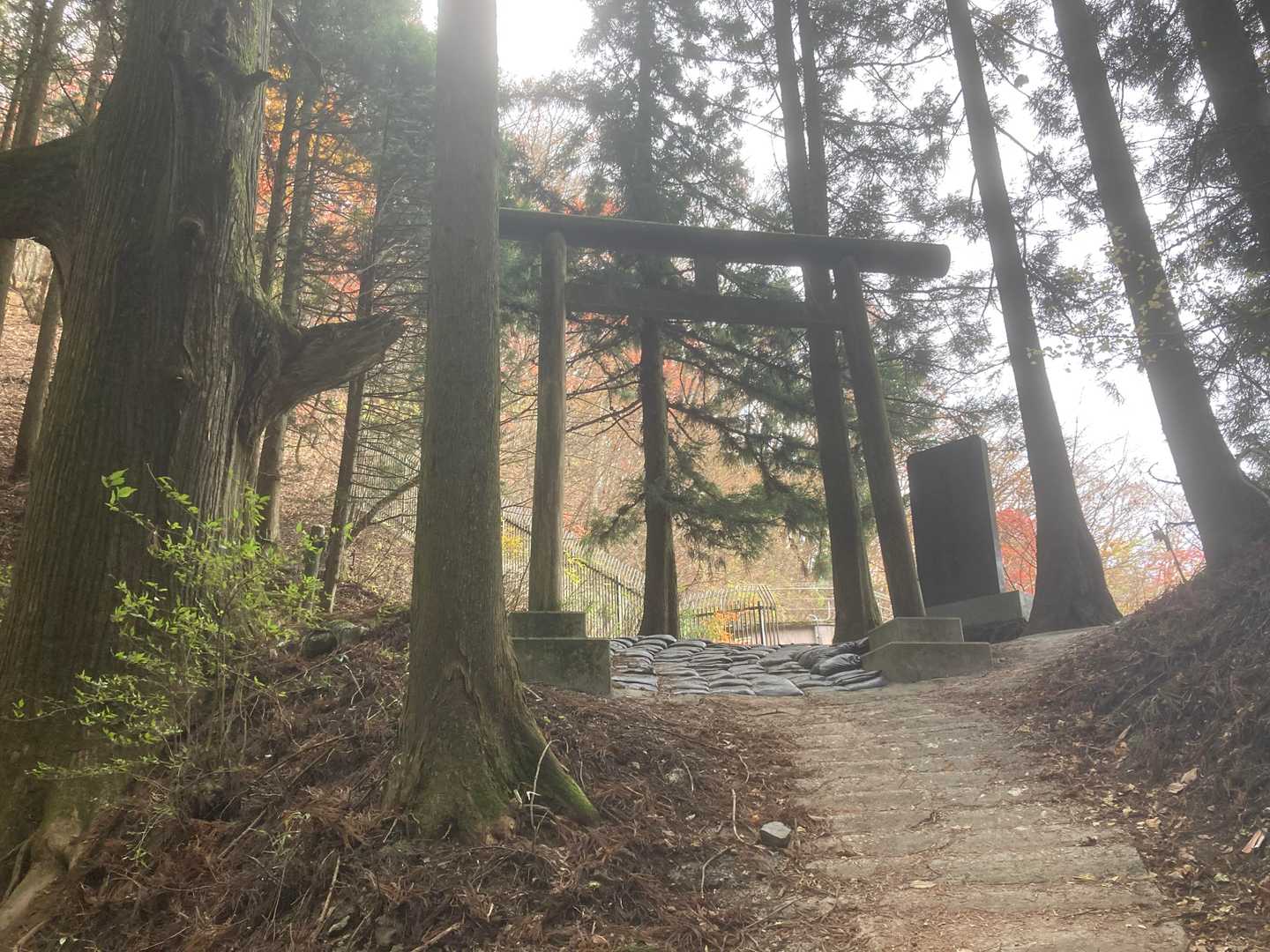この鳥居をくぐって、大岳山最短コースと合流します