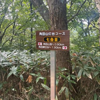 七合目だった