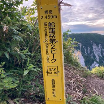 こんなにピークはいらない😣
まず240m上りました