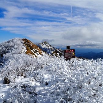 展望デッキの上を移動しながら🐦‍⬛烏ヶ山も見える位置を探って、本日のベストショットが撮れました。😍⤴️⤴️