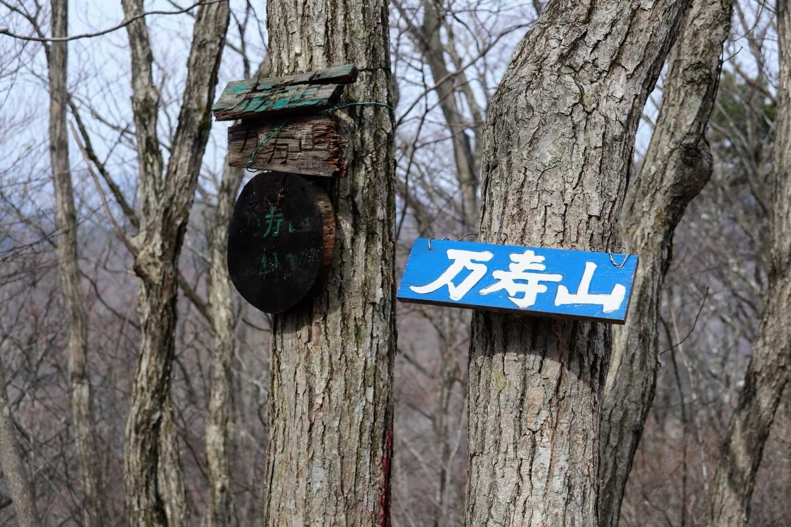 万寿山山頂到着🎵