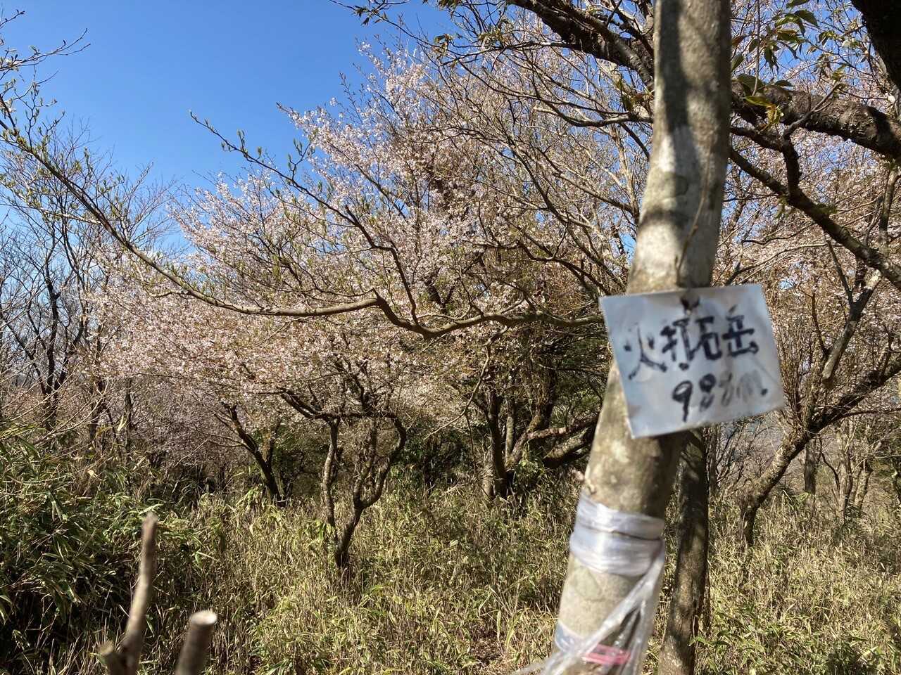 火打石山の写真