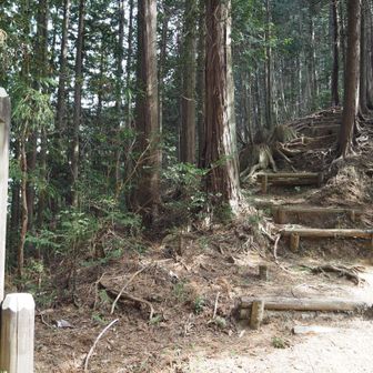 本来であればここの登山道に入るのですが、今回は諸事情で公道をそのまま下ります。