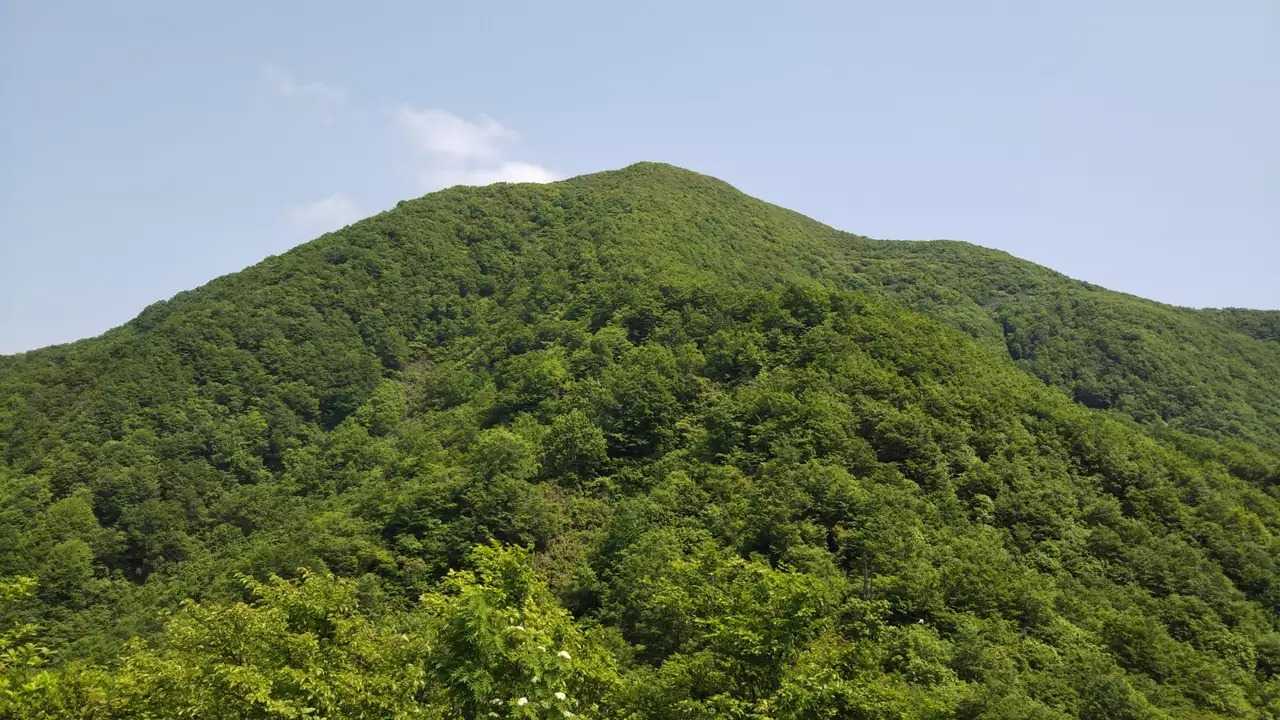 三沢山の写真