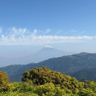 だんだん近くなる富士山