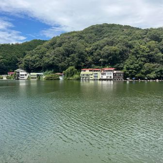 釣りの様子