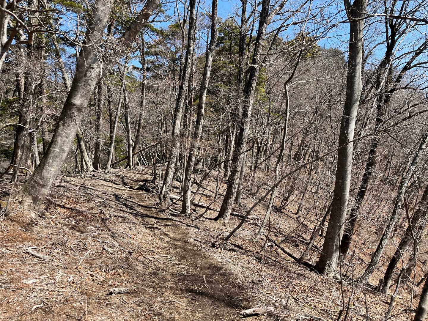 思ったより登りがキツかった！