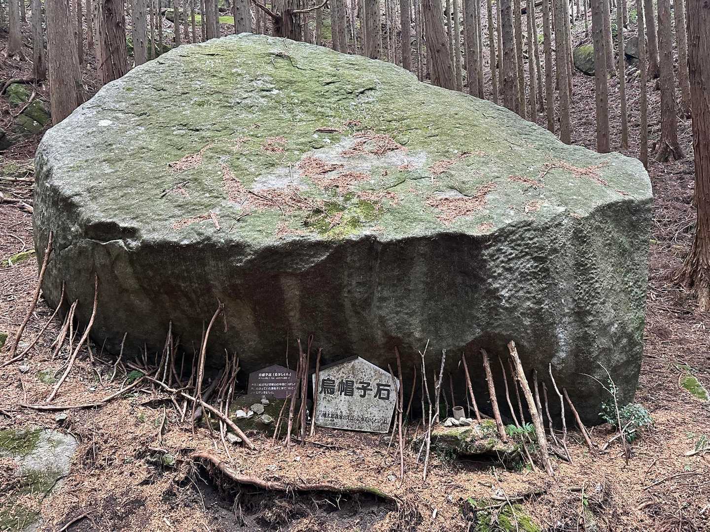 巨岩🪨出現の竪破山 / くらさんの土岳・花貫渓谷・竪破山の活動データ YAMAP / ヤマップ