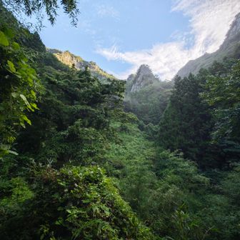 あの頂は篭岩山方向だろうか?
