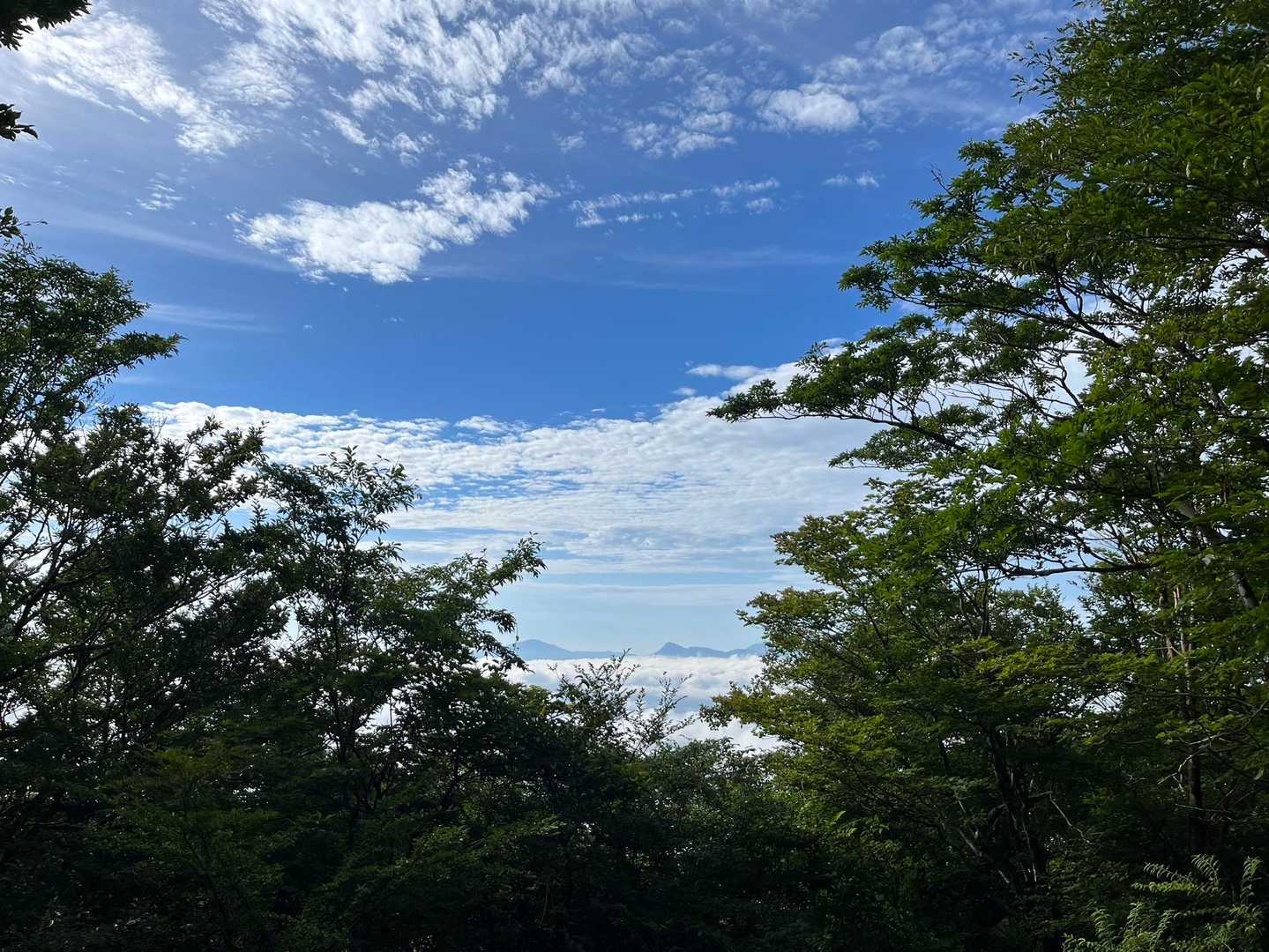 金時山が観えます☺️