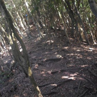 NHK素人のど自慢級の鐘の音ひとつ…の後は次の山頂へ向かってGO！