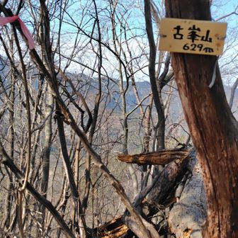 この先の小前の頭からの下山で道に迷いました！