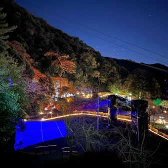 金華山syuページです☆ 金華山 / koji さんの金華山・洞山・舟伏山の活動データ | YAMAP