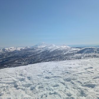 またまた撮っていました