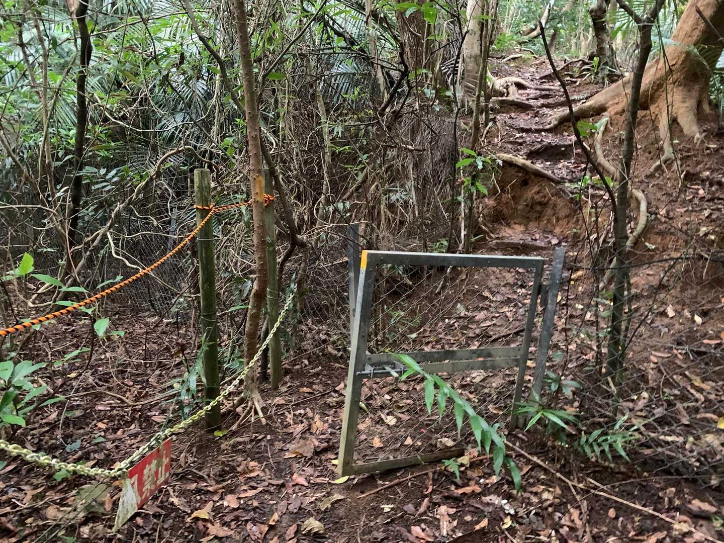 いよいよ、本格的な登山道の始まりです🤭