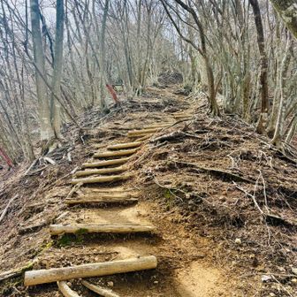 だってもうこのストロングな上り…