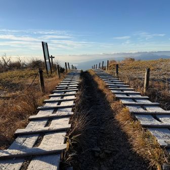 バカ尾根のお気に入りスポット😃