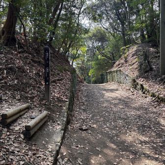 再度山、左膝からお尻にかけて下り限定で痛みが出てきたので今日はパス。
