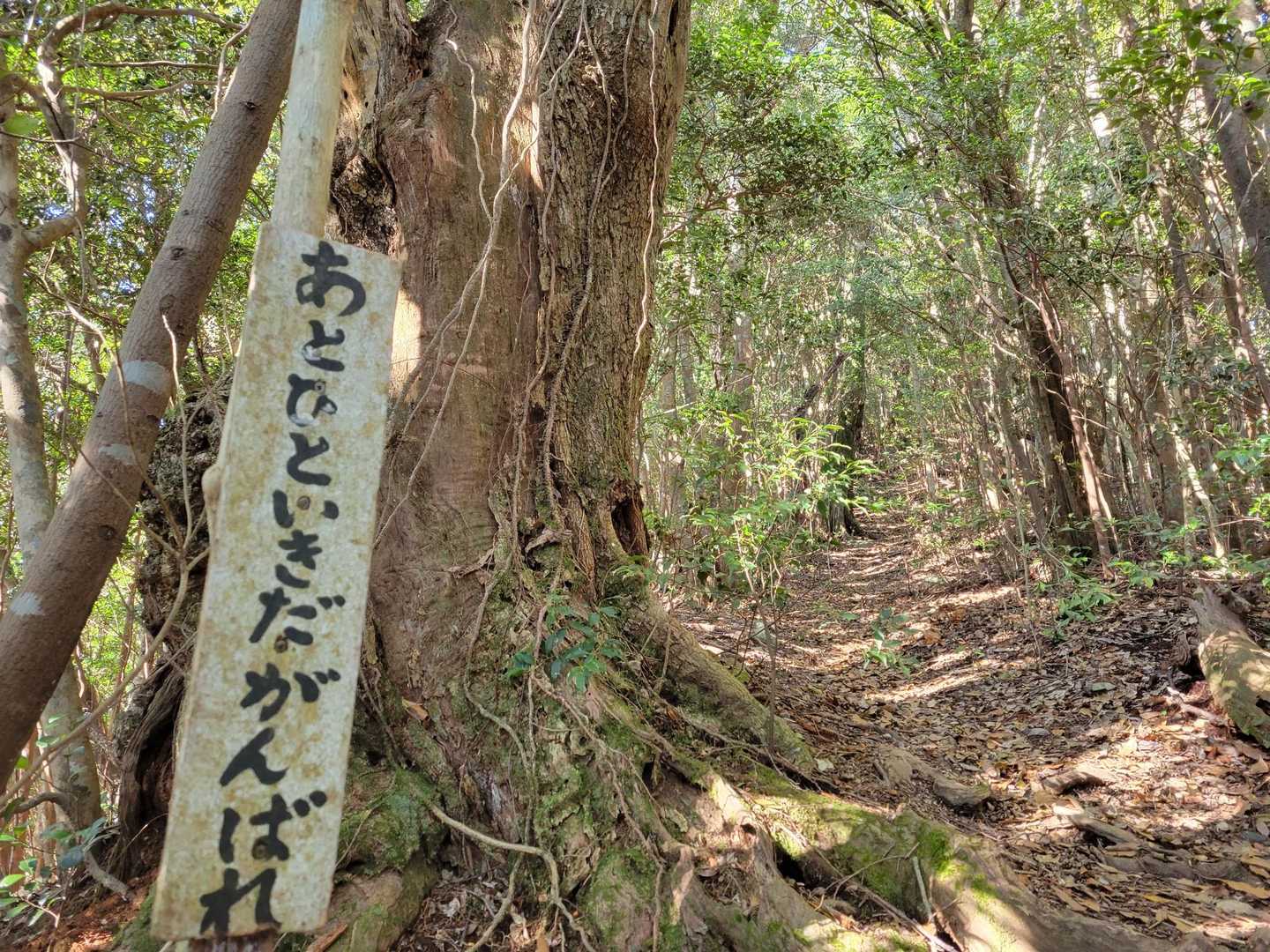 うん、がんばる