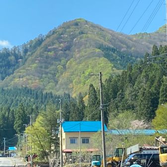 パーシャンミィ