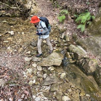 渡渉もあってピクニック気分

やっぱりピクニックは水筒にコーヒー、お弁当はサンドウィッチ🥪だねー
あとはフルーツに🍓　おやつはビスコ