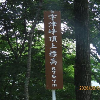 山頂。このまま足尾神社⛩️を目指しますが·········。

すれ違った方とお話。
鉱山跡や祠を見て歴史を楽しまれていらっしゃるとか。
色々なコースを教えていただきました。