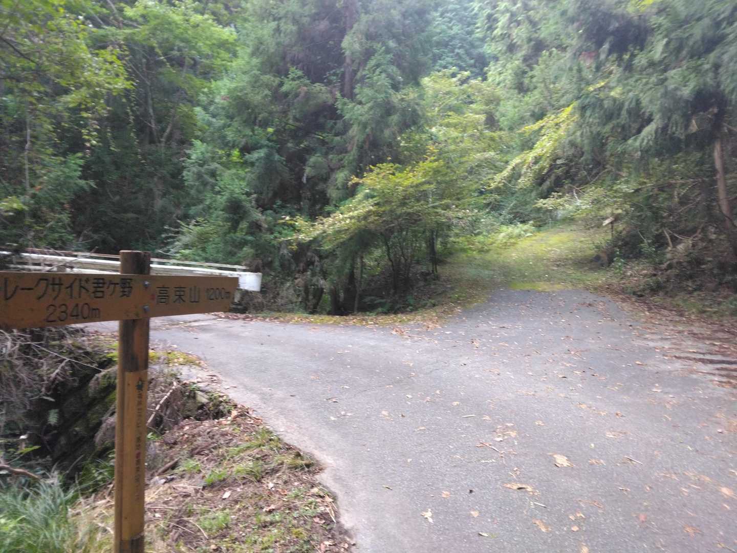 分岐を右に。