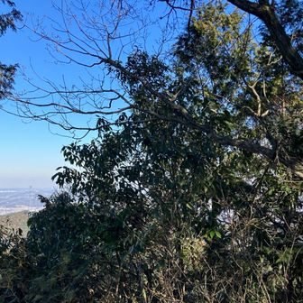 観音ヶ岳山頂から越生方面チラ見