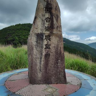 展望台手前ペンペン草生い茂って半袖でわ擦り傷多です😅
