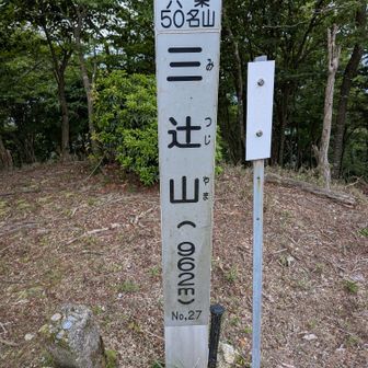 20分弱で目的の三辻山。
