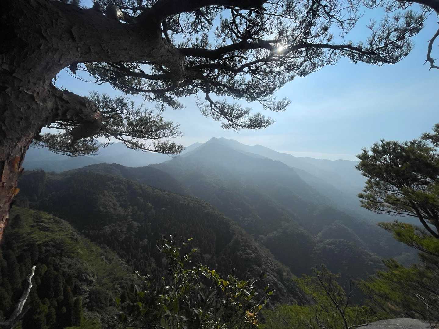 刀剣山1峰 周回コースの写真