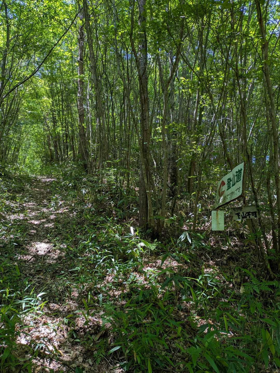 登山口到着
