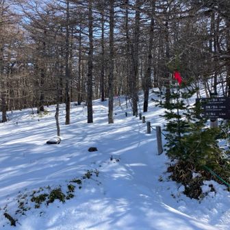 ここから登ります