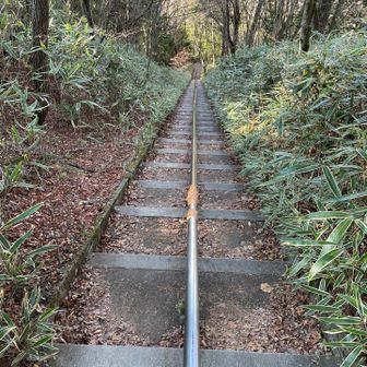 歩幅が合わない