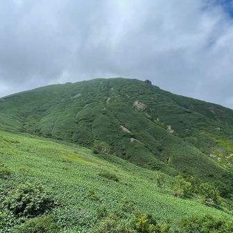 標高下げるにつれ晴れてます☀️