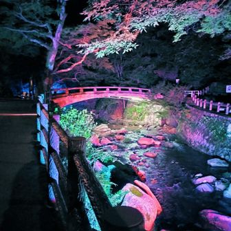 夜景モード②
このように変化します