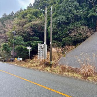 しょうけ峠まで来ました。ここまですれ違ったのはわずか2組w。
ここから若杉ヶ鼻まで試練が待ち構えています😭