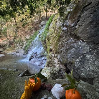 かがみもちがお供えしてありました