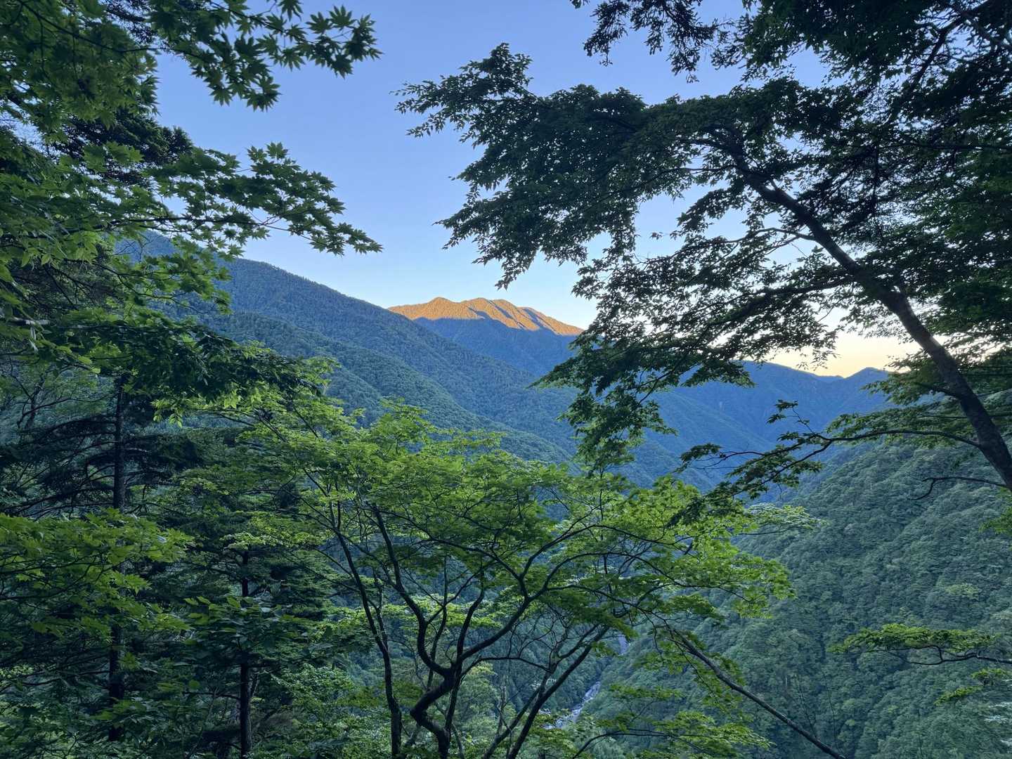 芝沢ゲート-易老渡-大木の広場-苔平-小聖岳-聖岳 往復コースの写真
